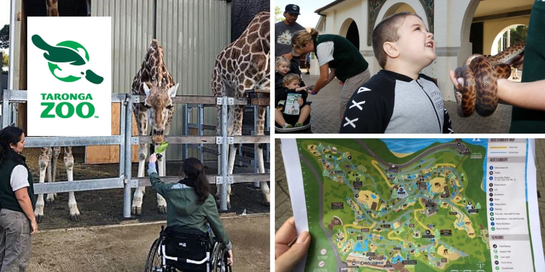 Wheelchairs, Walkers and an enchanting stay at the Zoo! Ability Connect
